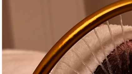 Japanese Head Spa Syracuse NY